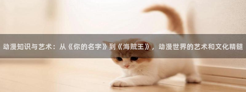 动漫之家关闭：动漫知识与艺术：从《你的名字》到《海贼王》，动漫世界的艺术和文化精髓