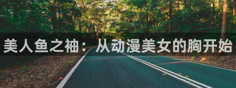 光速蒙面侠21号动漫之家