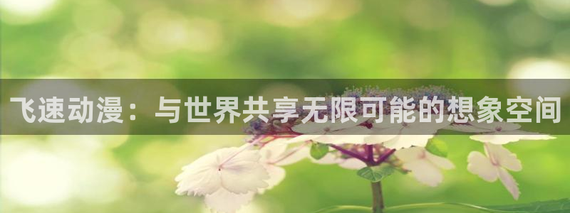 动漫之家最新版下载：飞速动漫：与世界共享无限可能的想象空间
