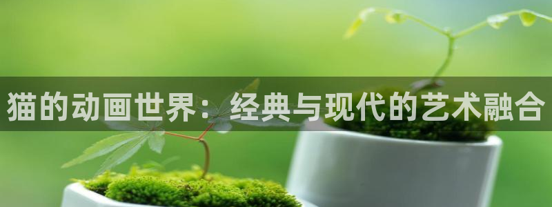 城市猎人动漫之家：猫的动画世界：经典与现代的艺术融合