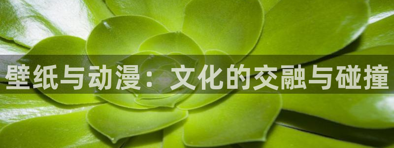 动漫之家免费下载：壁纸与动漫：文化的交融与碰撞