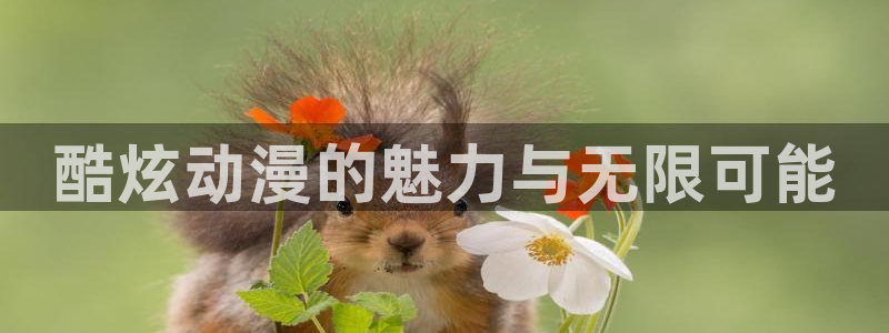 免费动漫网站动漫之家：酷炫动漫的魅力与无限可能