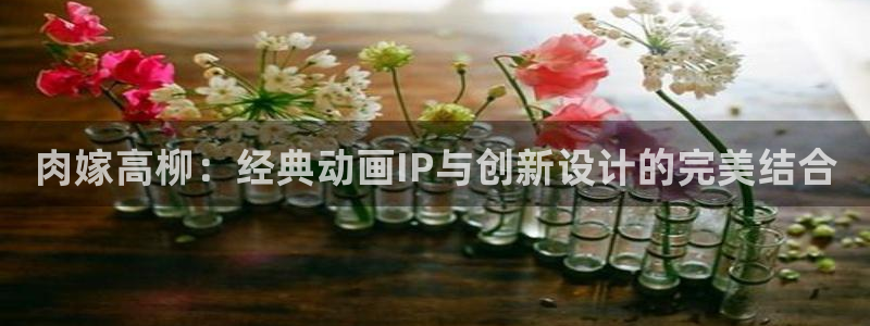 动漫之家网站网址：肉嫁高柳：经典动画IP与创新设计的完美结合
