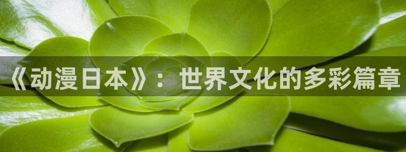 动漫之家看不了的漫画怎么才能看：《动漫日本》：世界文化的多彩篇章