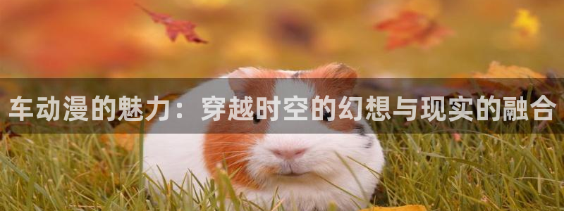 动漫之家看不了漫画：车动漫的魅力：穿越时空的幻想与现实的融合