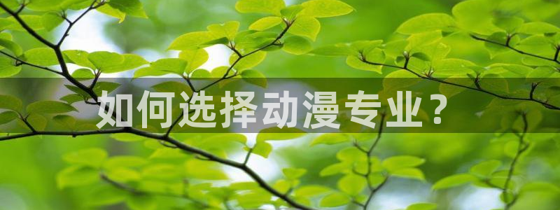 动漫之家吧：如何选择动漫专业？