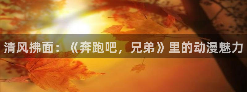 无颜之月动漫之家：清风拂面：《奔跑吧，兄弟》里的动漫魅力