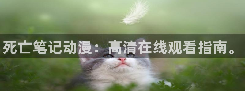 动漫之家网站官网免费：死亡笔记动漫：高清在线观看指南。