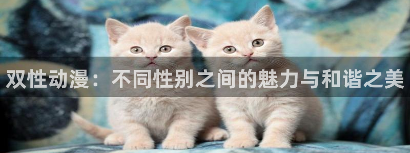 动漫之家下载官网：双性动漫：不同性别之间的魅力与和谐之美