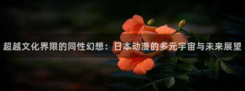 芋虫caterpillar动漫之家：超越文化界限的同性幻想：日本动漫的多元宇宙与未来展望