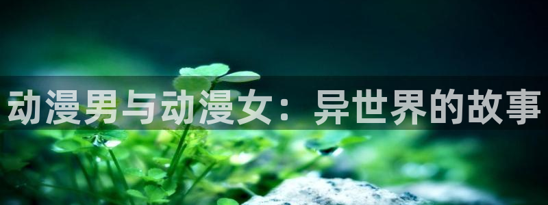 动漫之家官网：动漫男与动漫女：异世界的故事