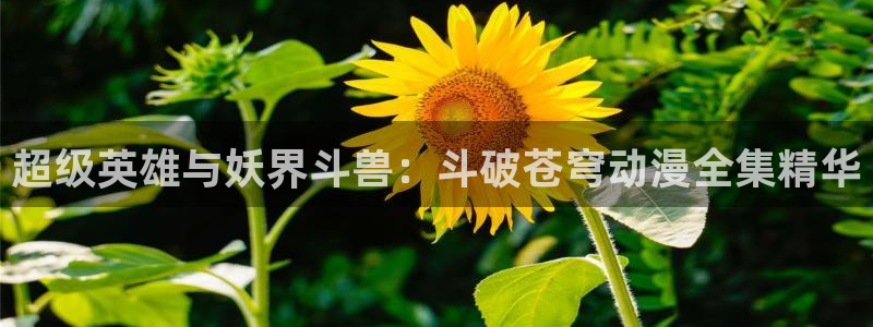 狂赌之渊漫画动漫之家：超级英雄与妖界斗兽：斗破苍穹动漫全集精华