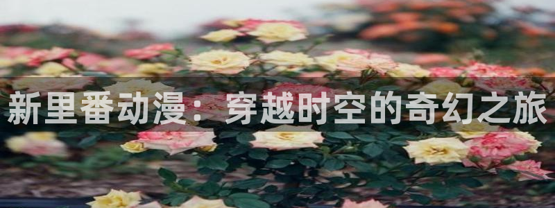 动漫之家官方正版入口：新里番动漫：穿越时空的奇幻之旅