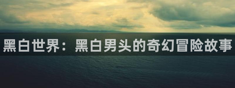 动漫之家 小说：黑白世界：黑白男头的奇幻冒险故事