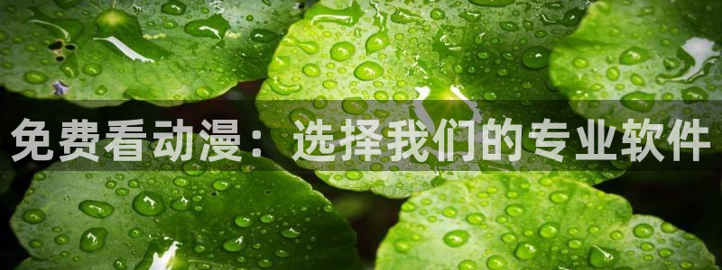 羞羞动漫之家：免费看动漫：选择我们的专业软件