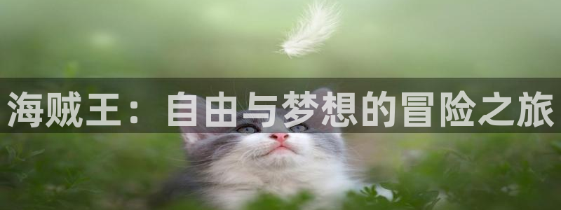 动漫之家apk：海贼王：自由与梦想的冒险之旅