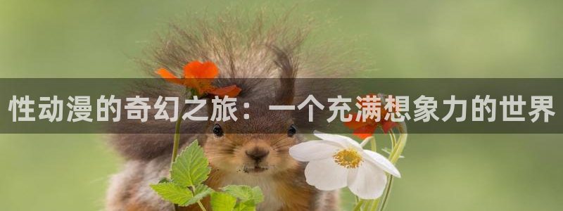 亡灵幻境漫画动漫之家