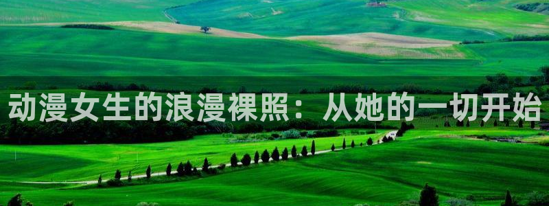 动漫之家老版本