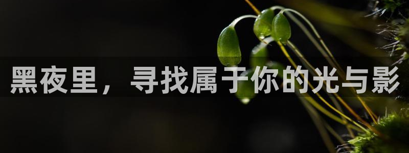 ts漫画动漫之家