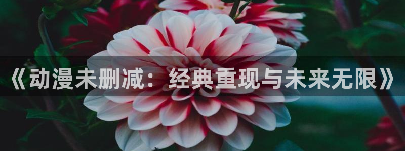 动漫之家漫画网在线