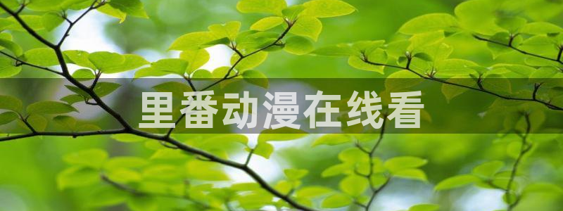 动漫之家版本