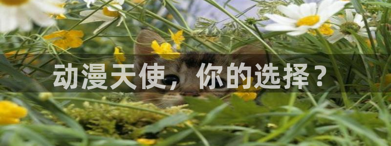 动漫之家破解版2025