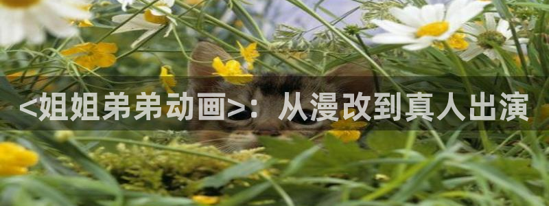 我推的孩子动漫之家