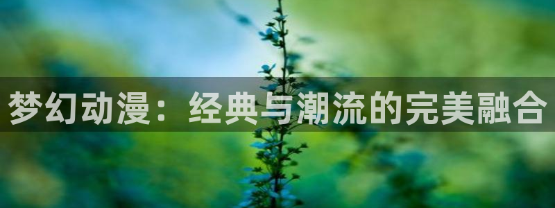动漫之家 官网