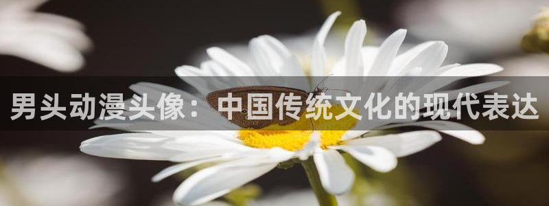 动漫之家1