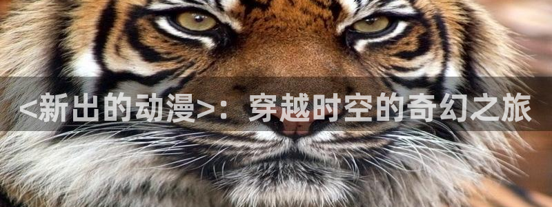 动漫之家看不了