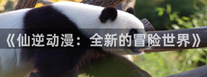 动漫之家看不了的漫画去哪看