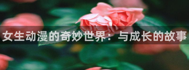 霹雳动漫之家