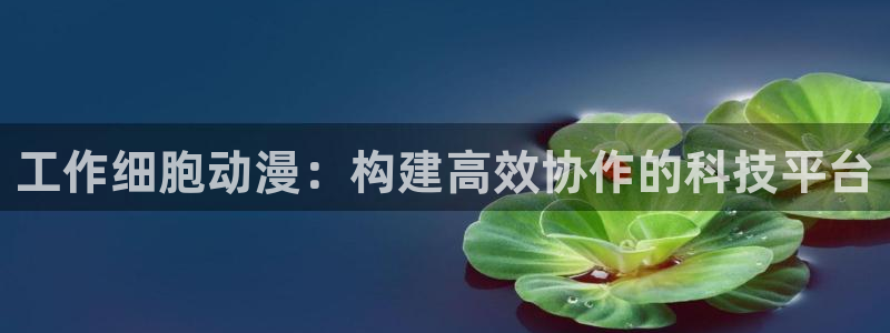 动漫之家漫