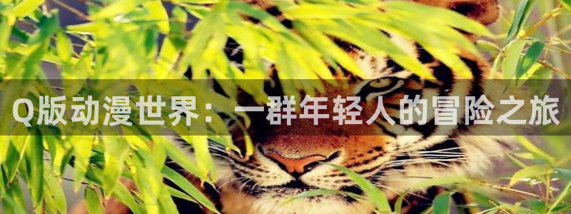 ace动漫之家