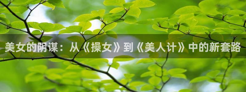 动漫之家.com