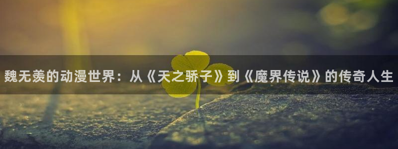 动漫之家关闭