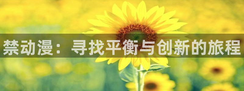 动漫之家上不去