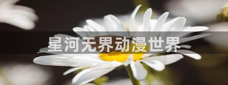 家有女友动漫之家