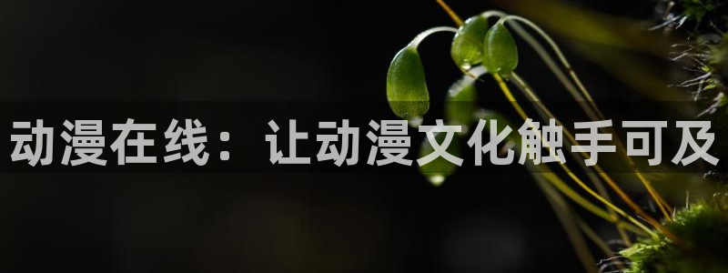 58动漫之家