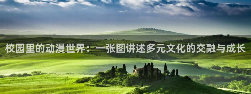 其他动漫动漫之家,在线观看