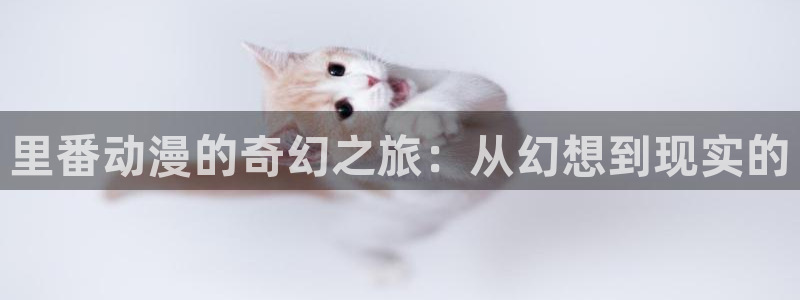 动漫之家社区版有什么区别