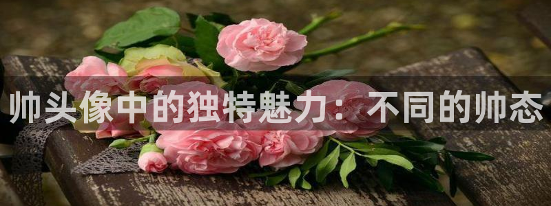 虎哥动漫之家在线观看