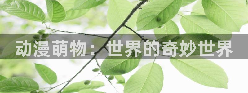 动漫之家下载漫画