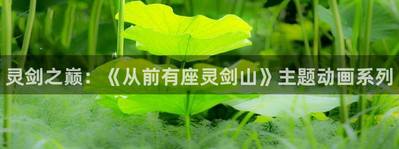 缘结甘神家动漫之家