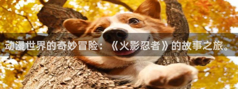 刃牙动漫之家