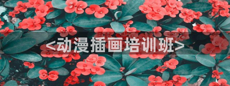 178动漫之家官网